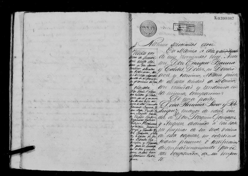 Annex S: Virgilio - 1901 Notarial